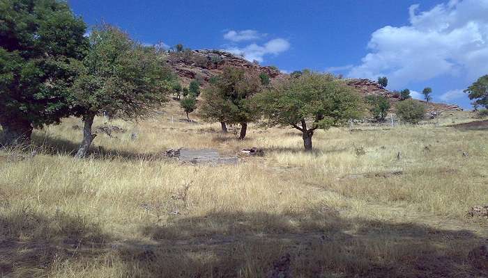 A view from Sakallı village, which is connected to the centre of Turkey.