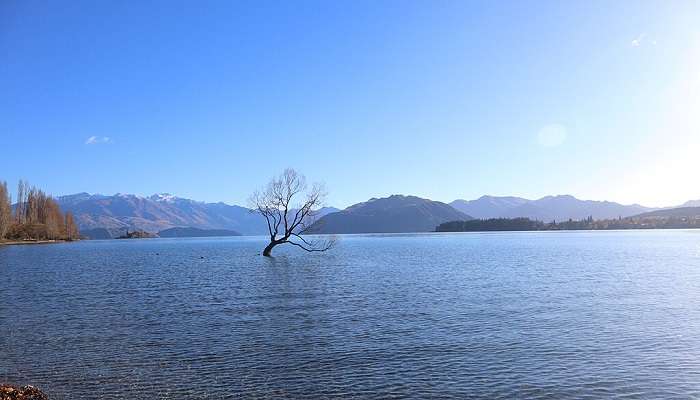 A stunning view of Lake