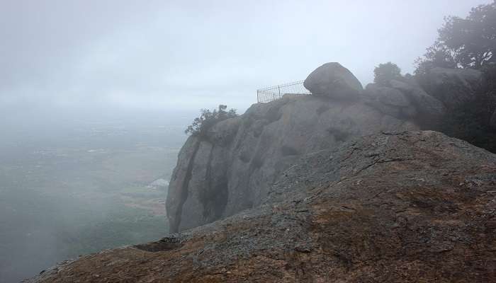 Do the trekking at the Bilikal Rangaswamy Betta.