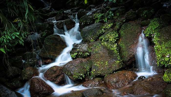 Vaidehi Falls