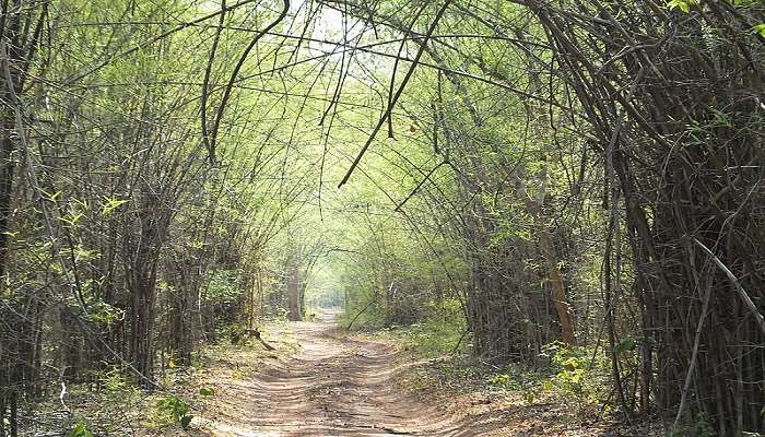 places to visit near tadoba