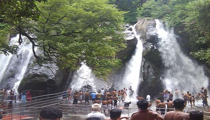 Resorts in Courtallam