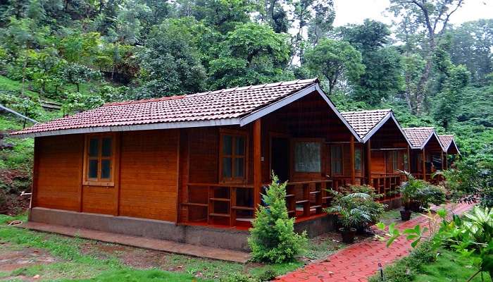 Homestay In Alappuzha