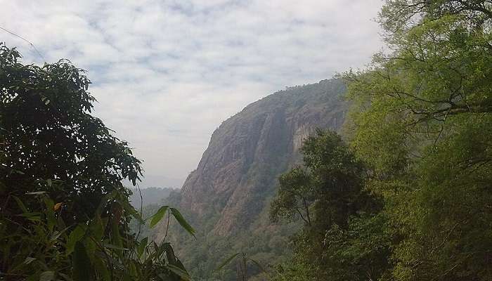 Neelimala View Point Wayanad