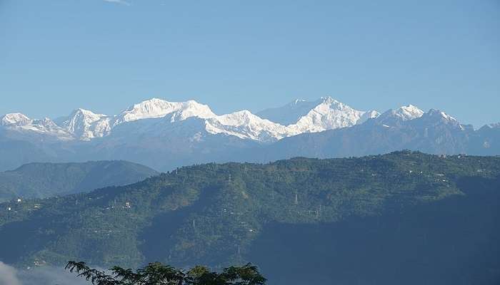 Tea Estate Hotels in Darjeeling