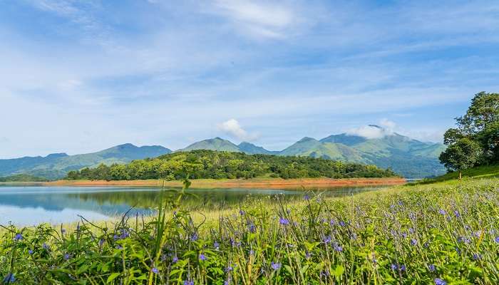 Banasura Sagar Dam is India’s largest earthen dam and offers spectacular sights over its vast reservoir.