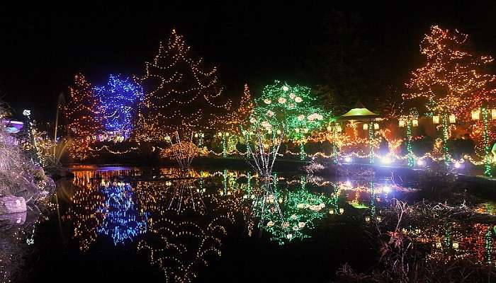 Niagara Falls Festival of Lights