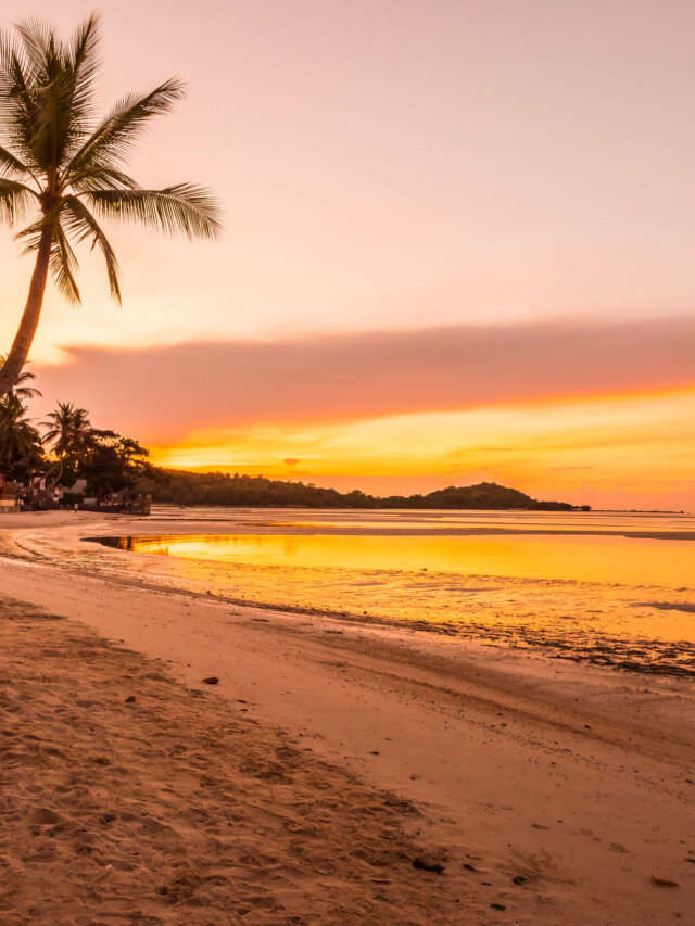 beautiful-tropical-beach-sea-ocean-with-coconut-palm-tree-sunrise-time (1)