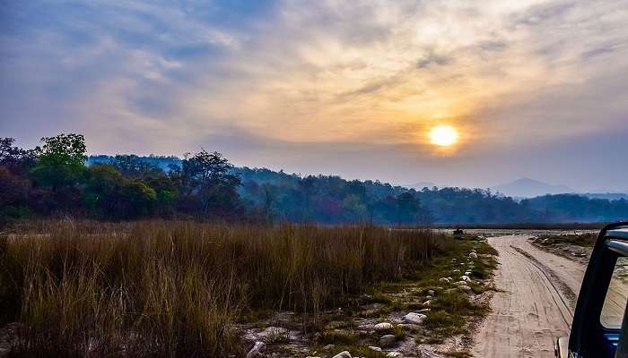 jungle safari in rajaji national park