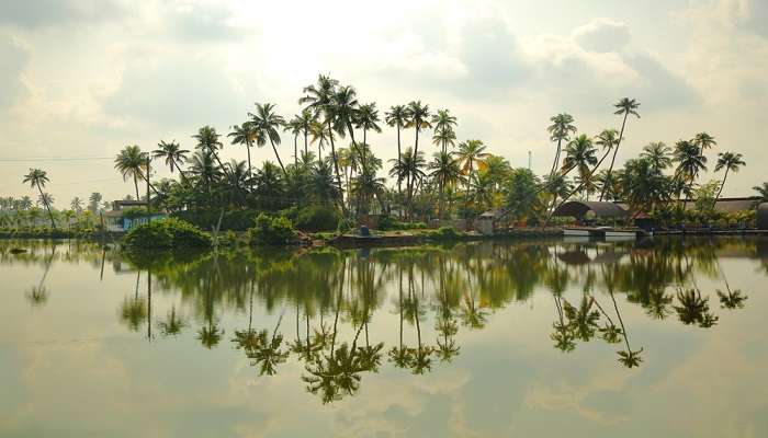 kumbalangi tourism