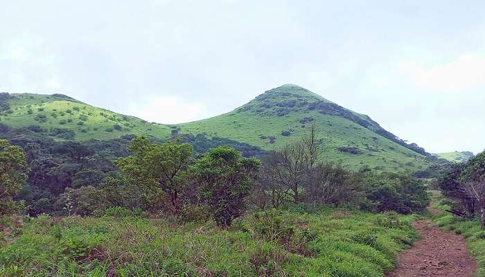 Places To Visit In Coorg In 1 Day