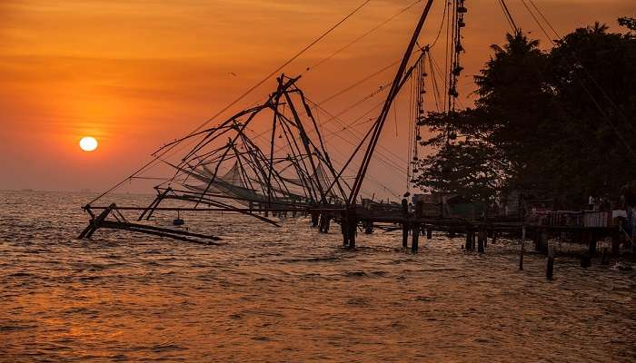 places to visit in kochi in 1 day