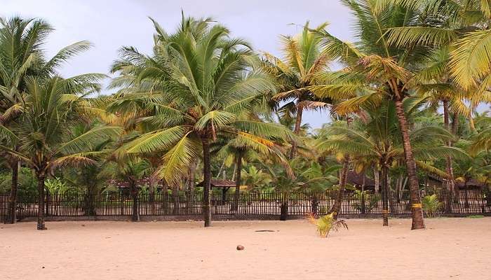 resorts in Marari Beach