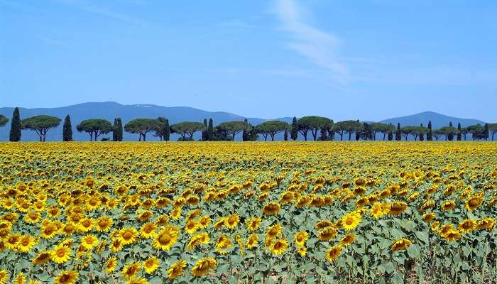 places to visit in Tuscany