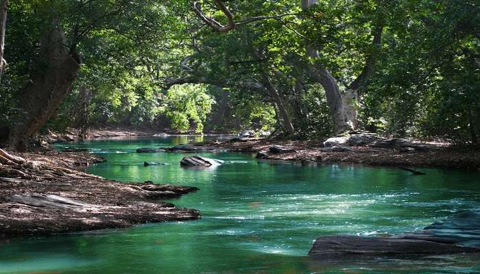 Arkavathi River