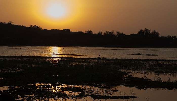 Carambolim lake