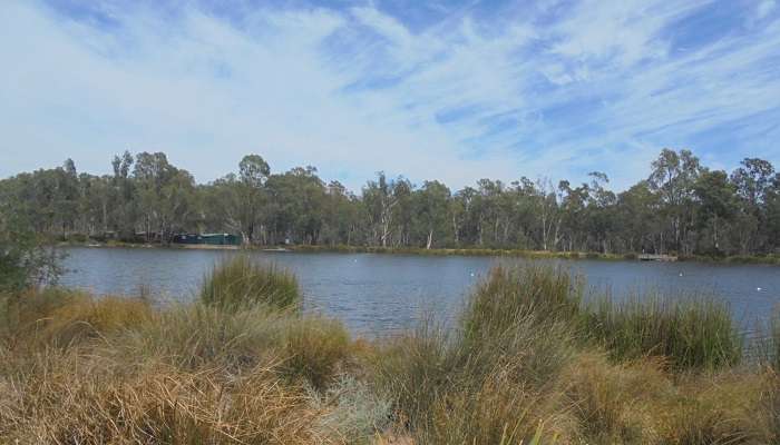 Choses à faire à Shepparton