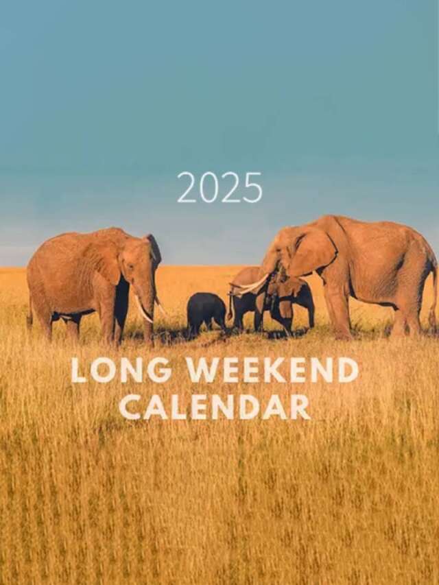 2025 Long Weekend Holidays List For India