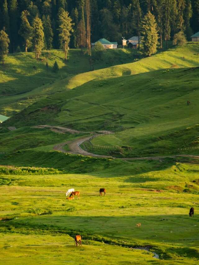 11 Picture Perfect Places To Visit In Pahalgam