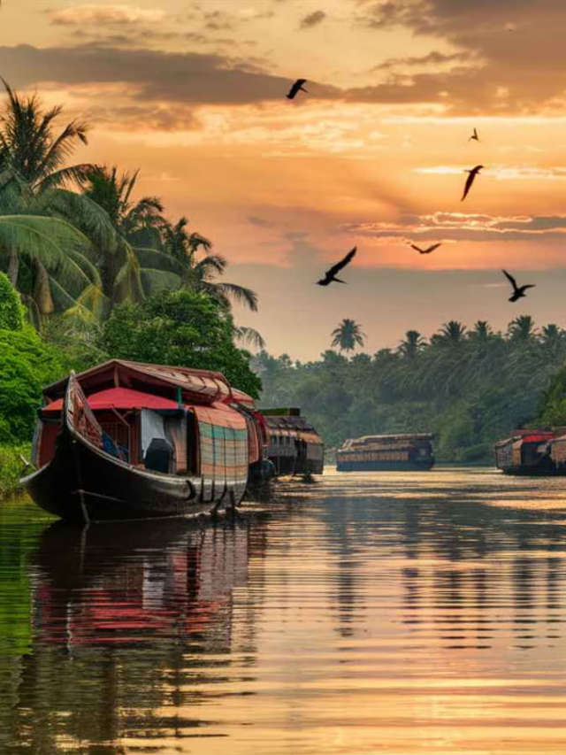 6 Amazing Ways to Experience Kerala and Connect with Locals!