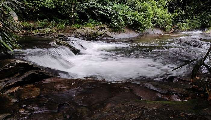 kattikkayam waterfalls