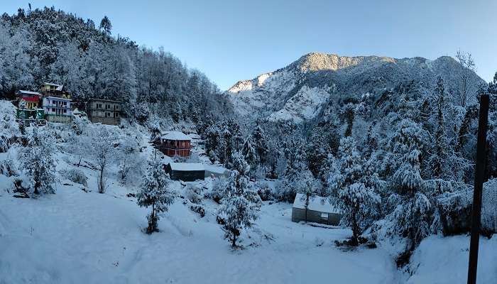 Snowfall in Chopta