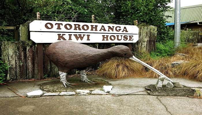 Hotels In Otorohanga