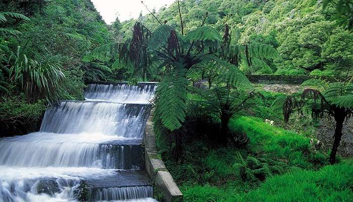 Korokoro Dam