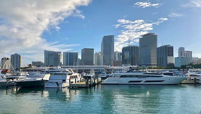 Miami International Boat Show