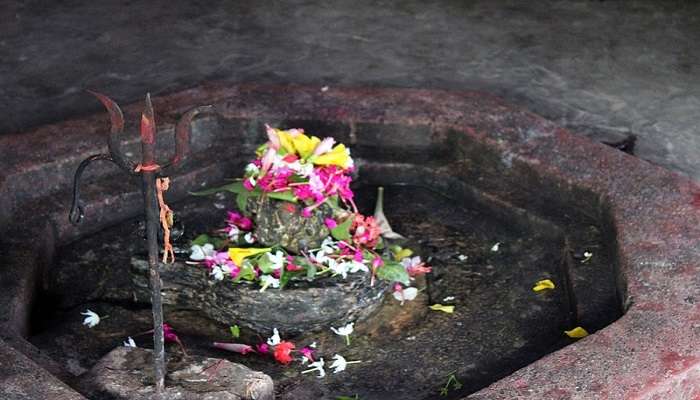 Places To Celebrate Mahashivratri