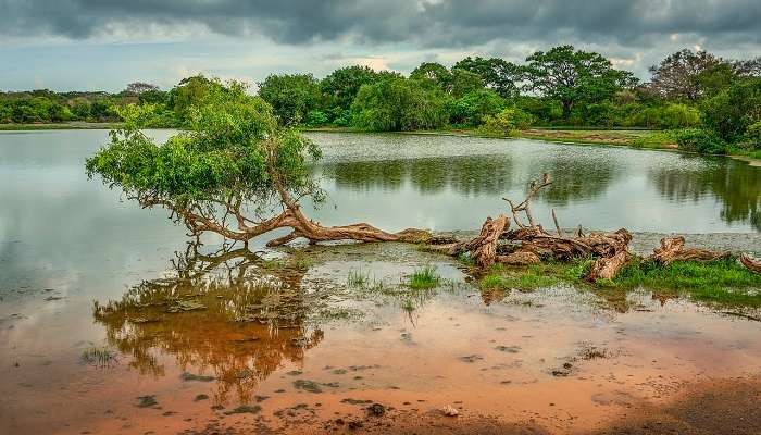 Sri Lanka en mai