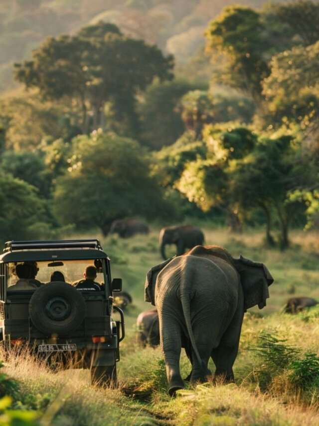 Wildlife Safari’s in March to visit before the Scorching Sun