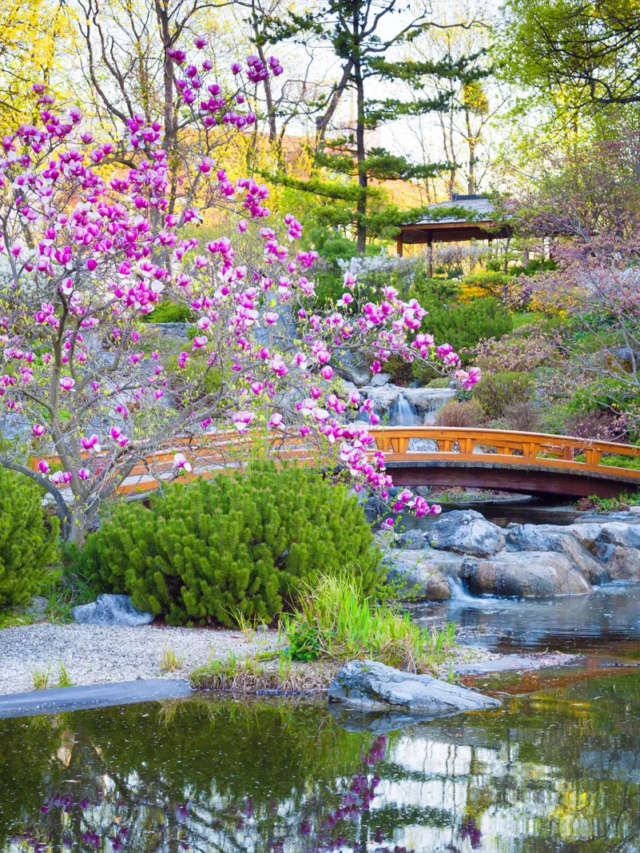 8 India’s Most Beautiful Gardens in March