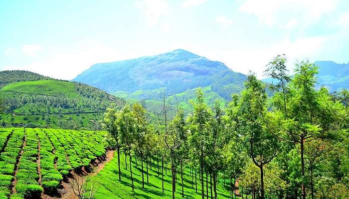Kerala Tourism