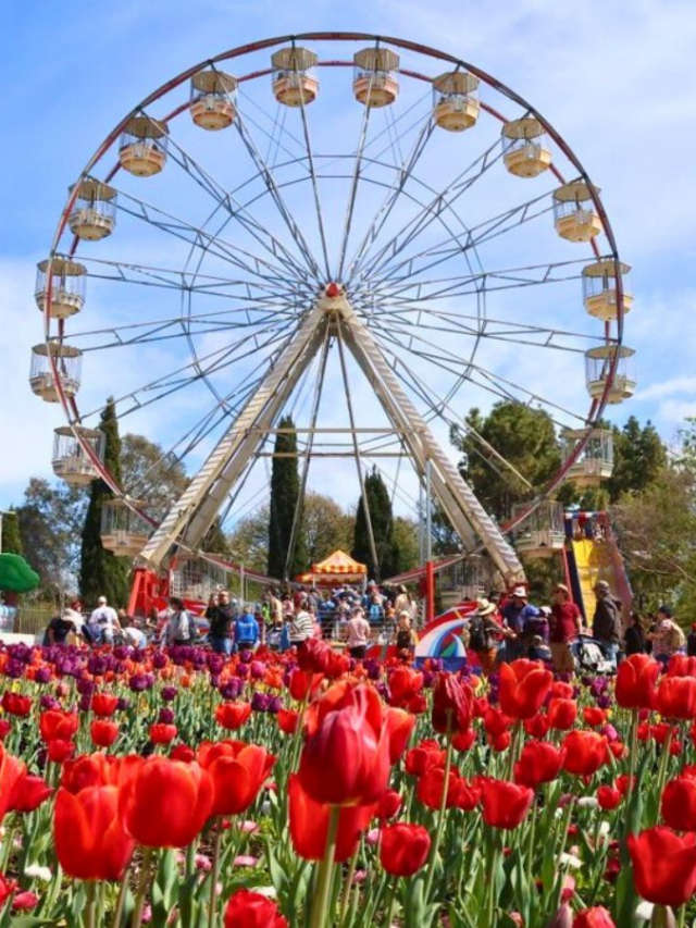 The Most Amazing Flower Festivals Are Happening NOW!