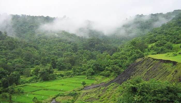 maharashtra
