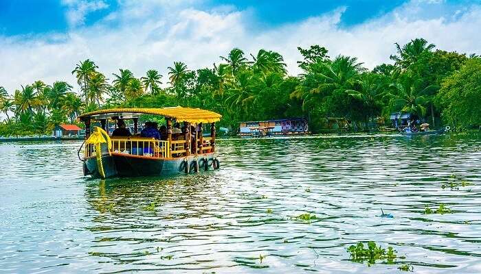 मानसून में केरल में घूमने की जगह: हरे-भरे पहाड़, झरने और झीलें