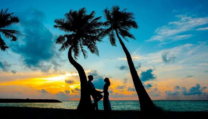 केरल के टॉप हनीमून डेस्टिनेशन – सबसे रोमांटिक जगहों की लिस्ट