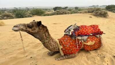 राजस्थान के हिल स्टेशन