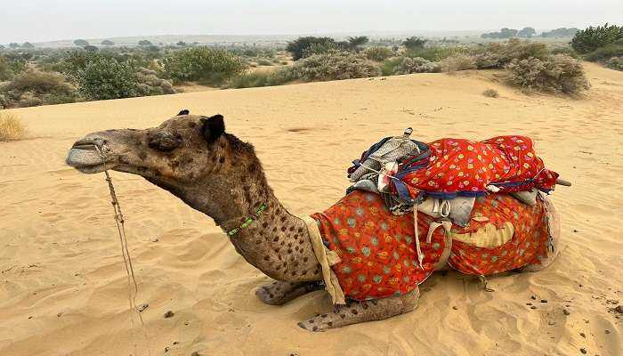 राजस्थान के हिल स्टेशन: परिवार व कपल्स के लिए बेस्ट हॉलिडे डेस्टिनेशन