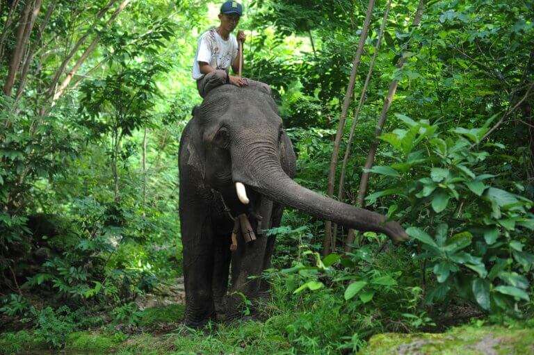 Munnar