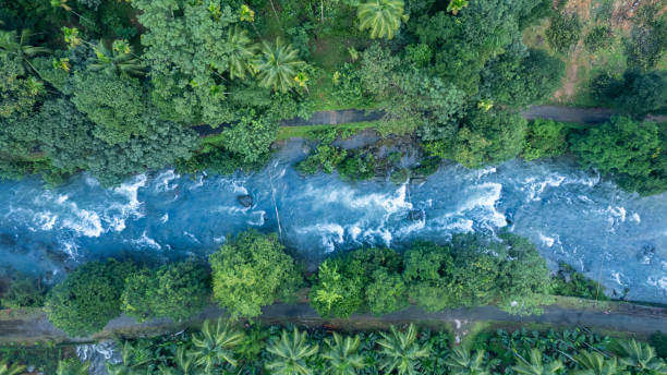Wayanad 