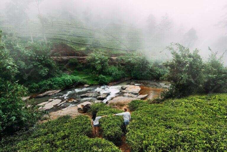 Thekkady