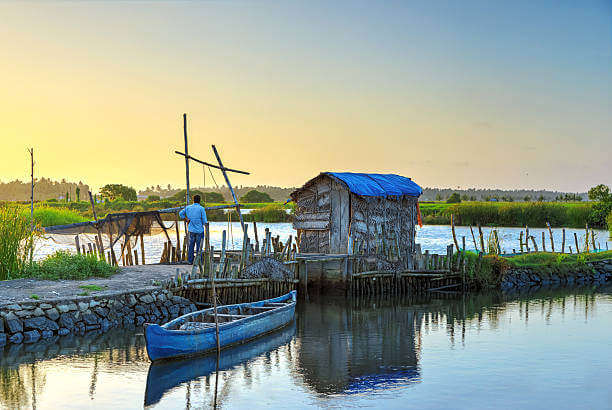 Kochi is a city where history and modern life come together.
