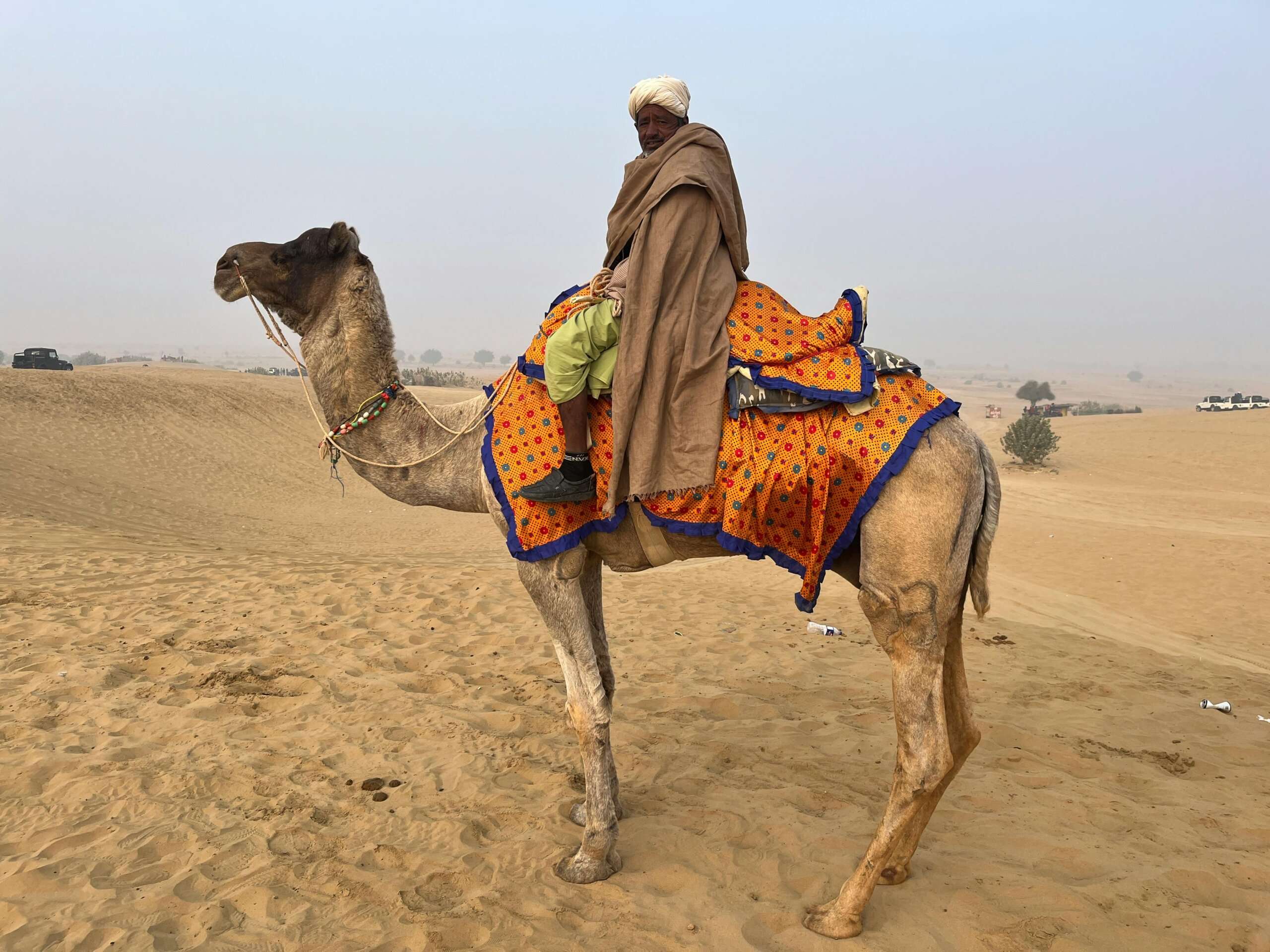Jaisalmer- Golden Lanes and Desert Charm