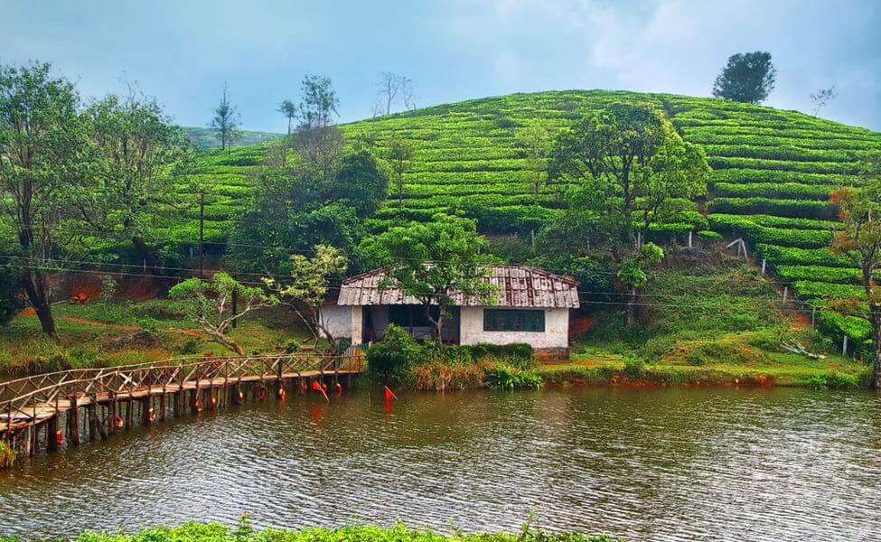 Vagamon is a peaceful hill station in Kerala