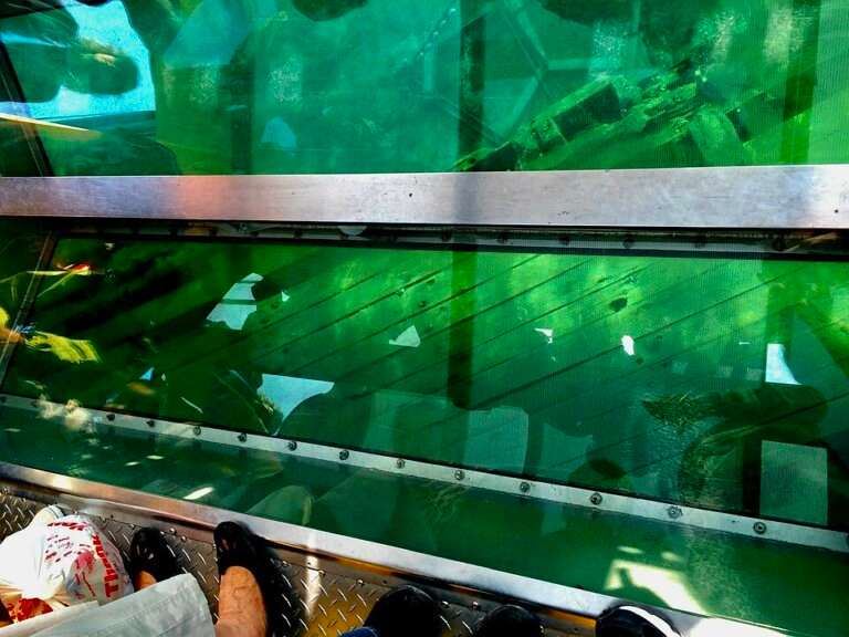 Glass Bottom Boating