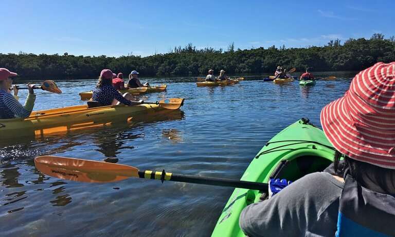 Mangrove Kayaking