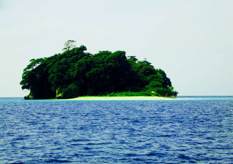 Jolly Buoy Island - Coral & Glass-Bottom Boats