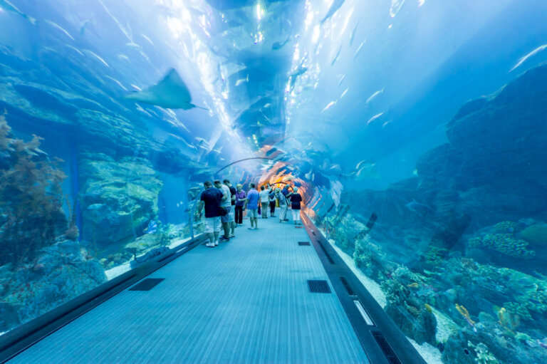 Aquarium